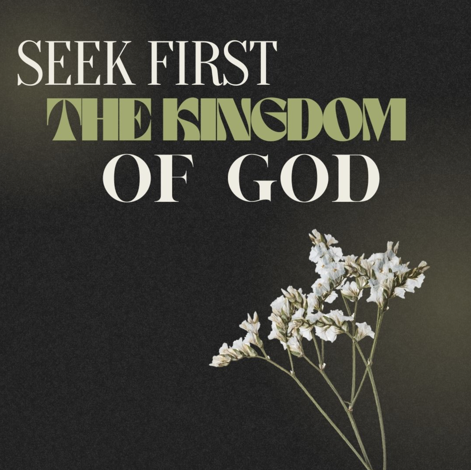 Featured image for “Seek First”
